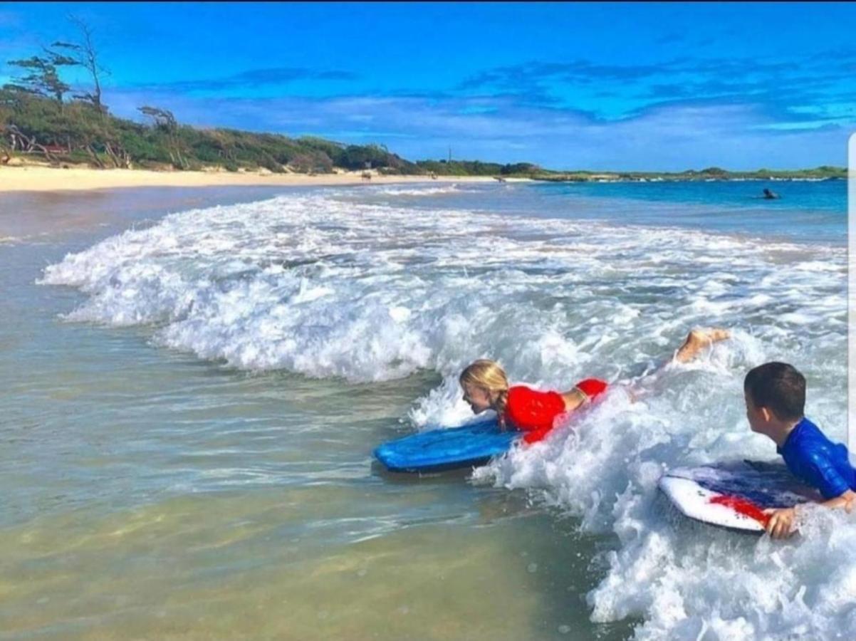 Private Condos In Waikiki, Private Car Rental Included, Beach Gear And Camping Gear Honolulu Extérieur photo